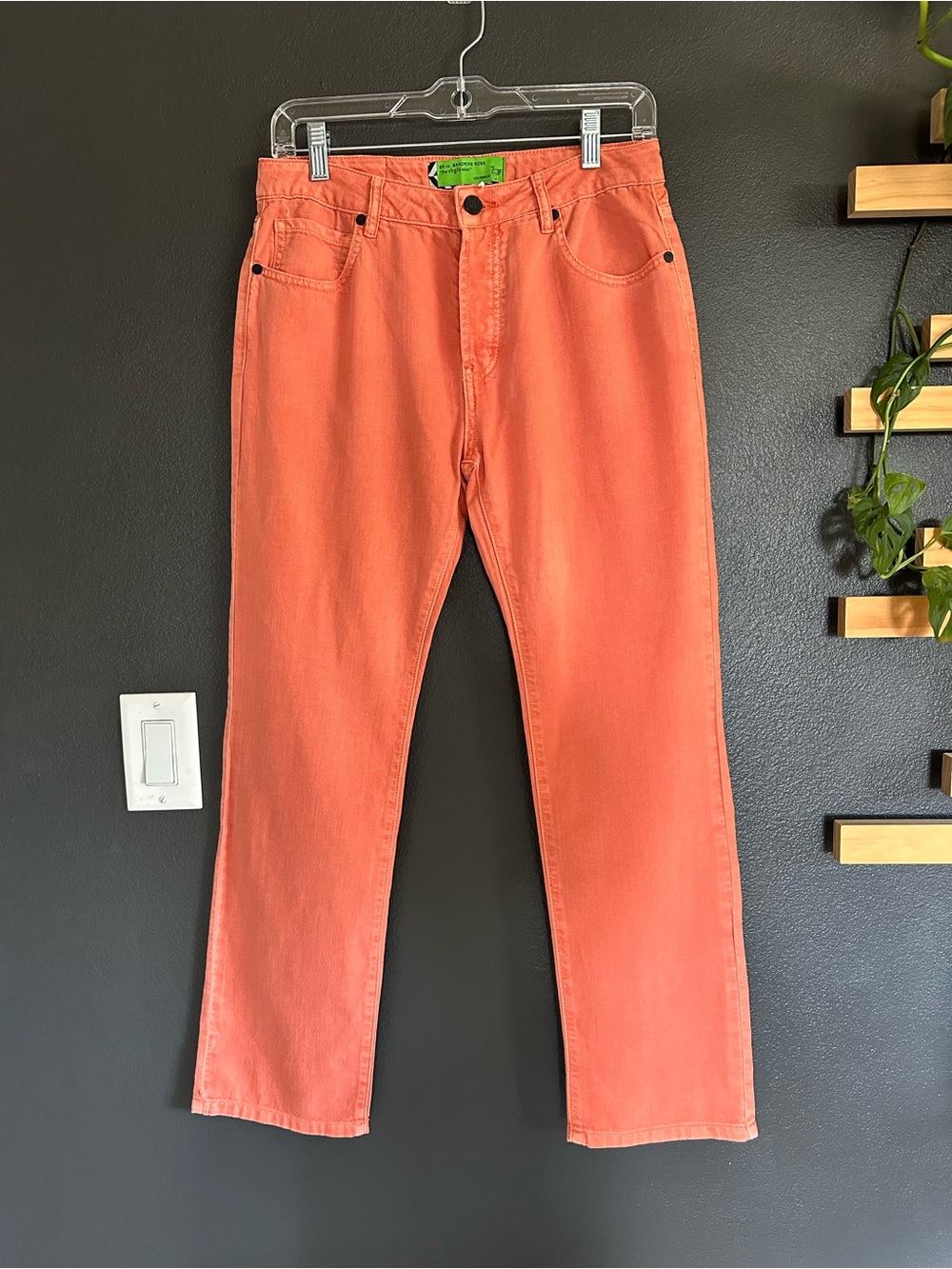 SR vs Sandrine Rose Free People Relax Straight Jeans Coral Size 27 NWT - Picture 2 of 10